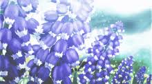 We did not find results for: Flower Animation Gif Gifs Tenor