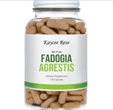 Image result for Fadogia