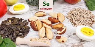 Tombul findik, sivri findik, badem findik, kan findigi ve fosa findigidir. Selenyum Nedir Hangi Besinlerde Bulunur Faydalari Ve Eksikligi