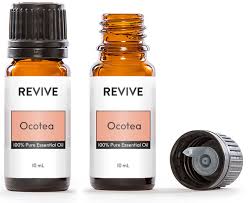 Image result for Ocotea