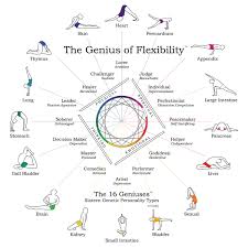 16 Genetic Personality Types The Genius Of Flexibility