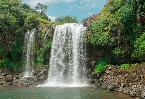 Explore Sanjay Gandhi National Park | The Leela Mumbai
