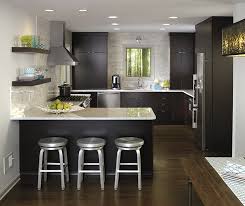 No more dark stains for these cabinets! Dark Wood Cabinets In A Contemporary Kitchen Masterbrand