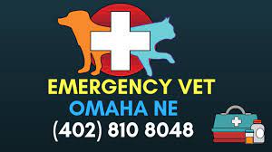 Updated on oct 12, 2019 24 Hour Vet Clinic Omaha Nebraska Urgent Pet Care Omaha Ne 402 810 4084 Youtube