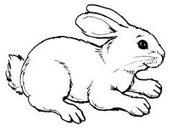 Aici gasiti ⭐ planse si desene cu animale iepurasi de colorat pentru copii. Imagini Pentru Desene Cu Iepuri In Creion Bunny Coloring Pages Farm Animal Coloring Pages Animal Coloring Pages