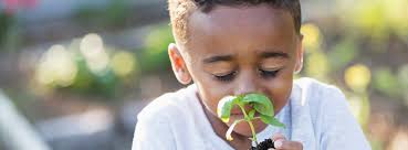 Education Reimagined