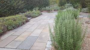 It is typically planted with flowers and plants that are at their best after the sun has set. Herbs For A Moon Garden Advice From The Herb Lady