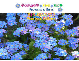 We did not find results for: Forget Me Not Flowers Gifts Startseite Facebook