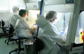 Mâine cerul va avea înnorări, temperaturile se vor situa între 12 și 18 grade. Rata De Infectare Cu Covid 19 In LocalitÄÈile Din JudeÈul Hunedoara Stirile Transilvaniei