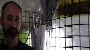 Rotifer Resources and Guides