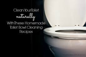homemade toilet bowl cleaner recipes