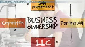 Organizational Structure Ownership Of A Business