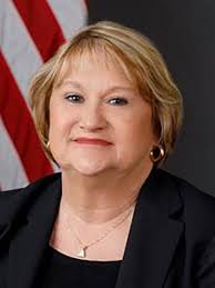 Sangamon County district map: Democrat-backed map amendment fails