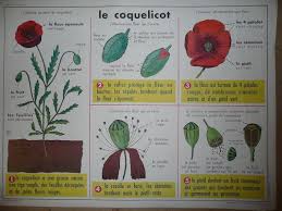 Epingle Sur Maternelle