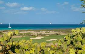 Choose from more than 58 properties, ideal house rentals for families, groups and couples. Tierra Del Sol Resort Golf In Aruba Golf Advisor