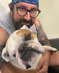 A HEARTACHE LIKE NOTHING ELSE': Former Bulldogs WAG Maddison Sullivan-Thorpe  has spoken about her fertility struggles and marriage breakdown in an  emotional new interview 👉 https://bit.ly/4lKAlsX