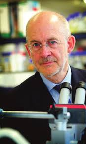 INSECTS IN MESOAMERICAN ART AND CULTURE THE BIOBLITZ