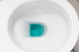 Kohler highline concealed trapway comfort height elongated bowl, almond by kohler. What Kind Of Toilet Bowl Should You Go For