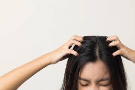 Itchy Scalp: Causes, Symptoms Reasons, & Prevention Tips | H&S IN