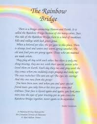 Faqs Pet Cremation Services Of Tidewater Rainbow Bridge Dog Dog Heaven Quotes Rainbow Bridge Poem