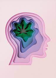 On pinterest ❣ @hennessysmami · stoner coupledrawing. Is Marijuana As Safe As We Think The New Yorker