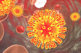 Estimated HIV risk per exposure | aidsmap