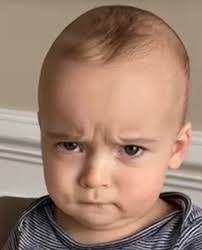 Daniel Bjorkman's Instagram, Twitter & Facebook