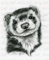 Ze hadden allemaal vier gezichten en vier. Art By Stef I Love Her Work Drawing Animal Drawing Dieren Tekenen Dierentekening Dier Schetsen
