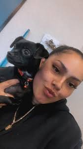 New Page — Lotus Veterinary