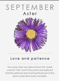 September Birth Flower Love And Patience I Love It So Much Because Citlali Means Star In Nahuatl September Birth Flower Birth Flowers Birth Flower Tattoos