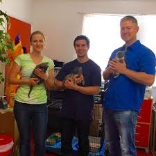 I decided to go on line to find more information about the rescue group. Popsugar Office Photos Glassdoor