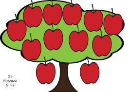 Fruit salad trees are great gifts for christmas, fathers day, mothers day, valentines day, birthdays and memorials. Family Tree Template For Kids 15 Designs Showing 3 4 Generations Go Science Girls