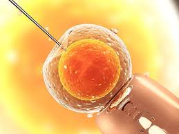 Die künstliche insemination im haushalt, auch als alternative insemination bezeichnet, ist für viele zu einer beliebten praxis geworden. Kunstliche Befruchtung Alles Zu Ablauf Erfolgsquote Preis