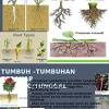 Contextual translation of akar tunjang into english. 1