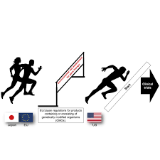 Impact of genetically modified organism requirements on gene therapy  development in the EU, Japan, and the US: Molecular Therapy Methods &  Clinical Development