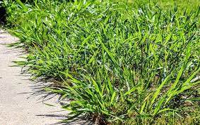 We realize there are many pest control companies to choose from. Blog Post