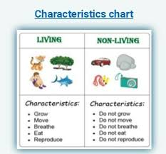 Characteristics Of Living And Non Living Things Brainly In