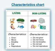 characteristics of living and non living things brainly in