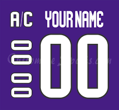 The arizona coyotes (colloquially known as the yotes) are a professional ice hockey team based in the phoenix metropolitan area. Arizona Coyotes Customized Number Kit For 2020 2021 Reverse Retro Jersey Customize Sports