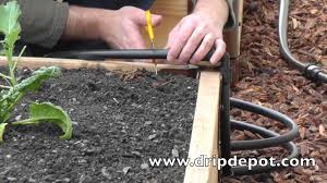 Cheap raised garden beds you can diy. How To Install A Drip Irrigation System In Raised Beds Youtube