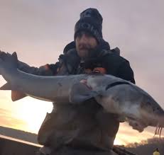 King of the Sturgeon