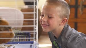 KAYTEE Timothy Hay Plus Variety Pack Small Animal Food, 3-pack, 60-oz bag