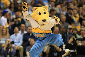 Denver nuggets live score (and video online live stream), schedule and results from all basketball denver nuggets fixtures tab is showing last 100 basketball matches with statistics and win/lose icons. Best Supermascot Rocky Feuds Denver Stiffs