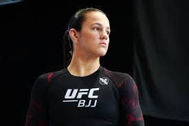 Image result for mir