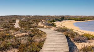 Praia da ilha deserta from mapcarta, the free map. Ilha Deserta The Complete Guide To The 1 Island Of The Algarve