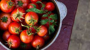 We did not find results for: 7 Bahaya Konsumsi Tomat Secara Berlebihan Termasuk Batu Ginjal Tribun Travel