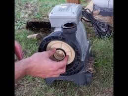 Having trouble with your intex pool pump? How To Clean An Intex Sand Filter Pump Youtube