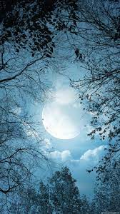 1080x1920 1080x1920 Night Clouds Moon Iphone 6 Wallpapers Hd 6 Plus Backgrounds Moon Time Background Pictures Full Moon Time