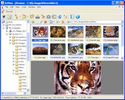 Xnview is a free software for windows that allows you to view, resize and edit your photos. Xnview Alternatives And Similar Software Alternativeto Net
