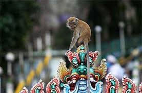 Singapore e Malesia: le nuove tigri asiatiche Architettura tra le ...